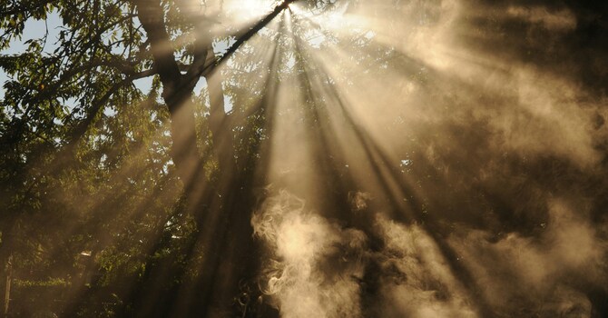 Individual Counselling & Psychotherapy